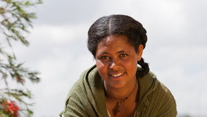 Dr. Hauschka: Essential rose oil from Ethiopia Dr. Hauschka: Essential rose oil from Ethiopia